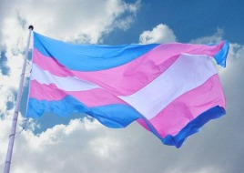 gallery/bandeira-trans